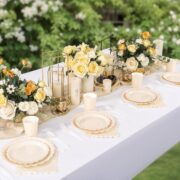 350-Piece Ivory Plate and Napkin Set, 50 Guests