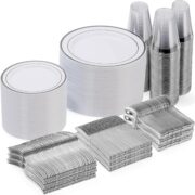 600-Piece Silver Plastic Plates for 100 Guests - Image 2